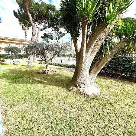 Oriol Center * Platja d'Aro