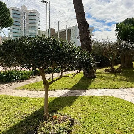 Hotel Oriol Center *