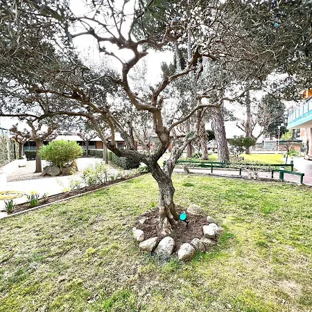 Oriol Center فندق بلاتجا ذارو